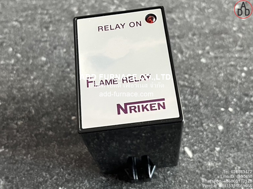 Flame Relay TYPE-FER-002 AC100V (5)